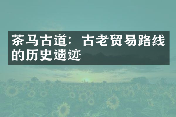 茶马古道：古老贸易路线的历史遗迹