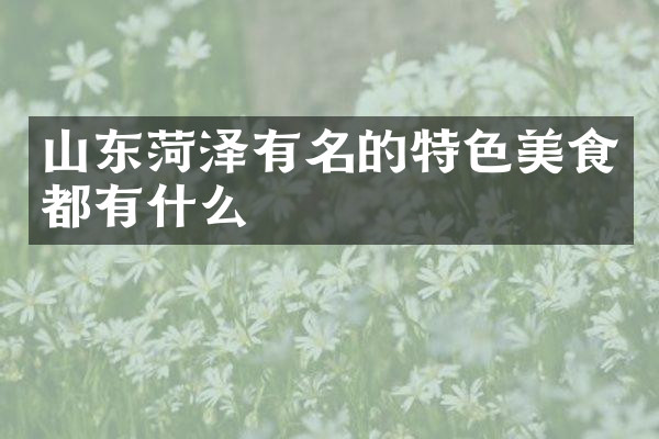 山东菏泽有名的特色美食都有什么