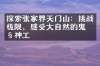 探索张家界天门山：挑战极限，感受大自然的鬼斧神工
