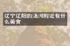 辽宁辽阳的汤河附近有什么美食