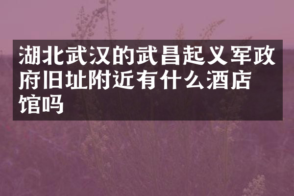 湖北武汉的武昌起义军政府旧址附近有什么酒店旅馆吗