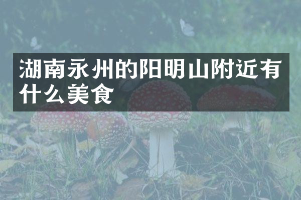 湖南永州的阳明山附近有什么美食