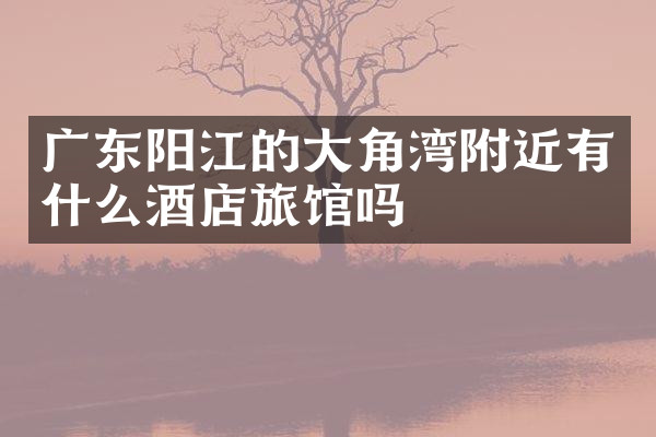 广东阳江的大角湾附近有什么酒店旅馆吗
