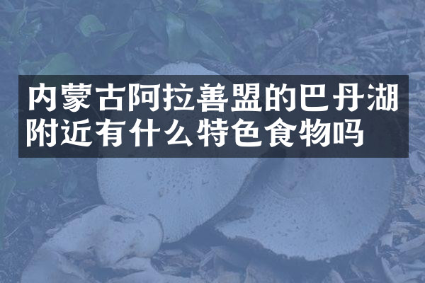 内蒙古阿拉善盟的巴丹湖附近有什么特色食物吗