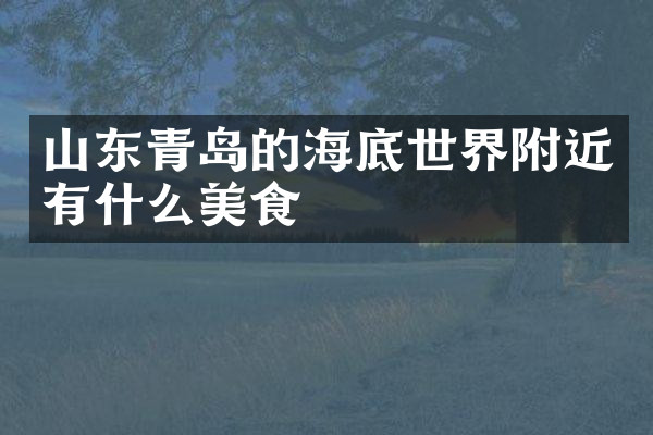 山东青岛的海底世界附近有什么美食