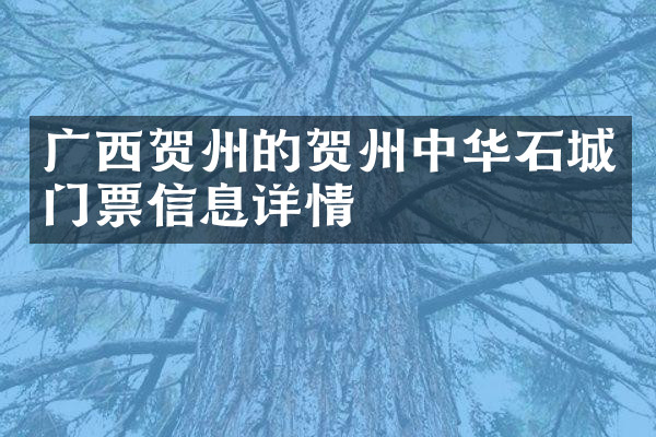 广西贺州的贺州中华石城门票信息详情