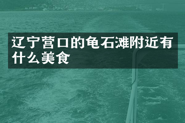 辽宁营口的龟石滩附近有什么美食