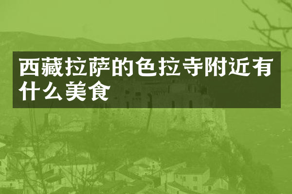 西藏拉萨的色拉寺附近有什么美食