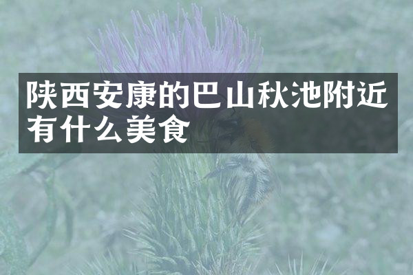 陕西安康的巴山秋池附近有什么美食