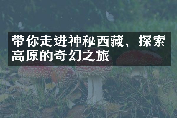带你走进神秘西藏，探索高原的奇幻之旅