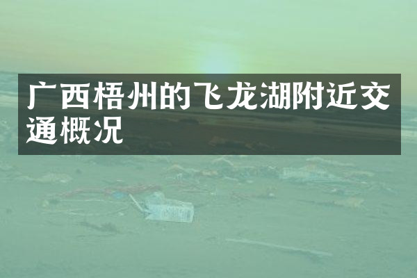 广西梧州的飞龙湖附近交通概况