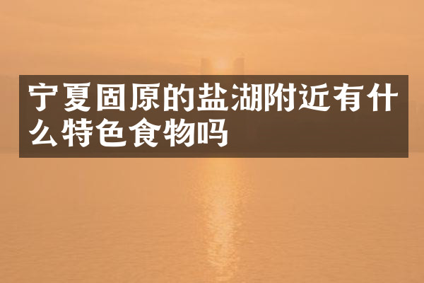 宁夏固原的盐湖附近有什么特色食物吗