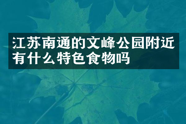 江苏南通的文峰公园附近有什么特色食物吗