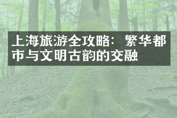 上海旅游全攻略：繁华都市与文明古韵的交融