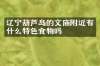辽宁葫芦岛的文庙附近有什么特色食物吗
