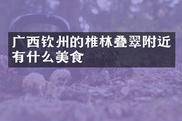 广西钦州的椎林叠翠附近有什么美食