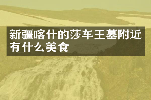 新疆喀什的莎车王墓附近有什么美食