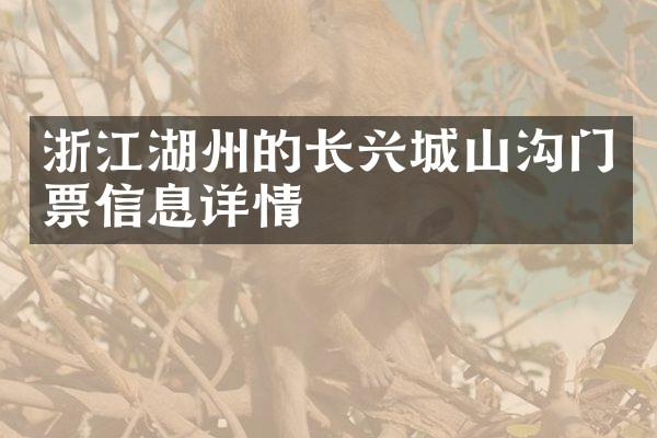 浙江湖州的长兴城山沟门票信息详情