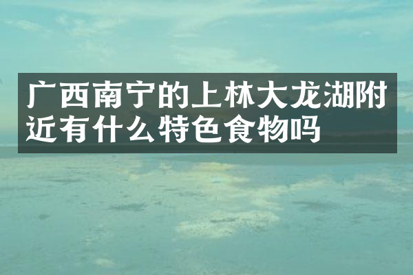 广西南宁的上林大龙湖附近有什么特色食物吗