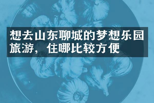 想去山东聊城的梦想乐园旅游，住哪比较方便