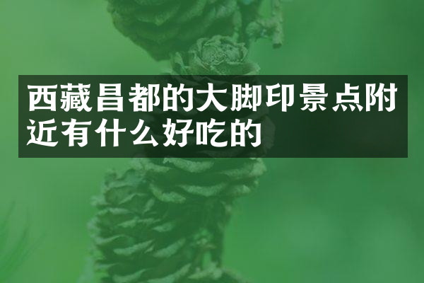 西藏昌都的大脚印景点附近有什么好吃的