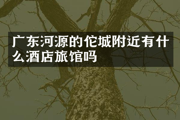 广东河源的佗城附近有什么酒店旅馆吗