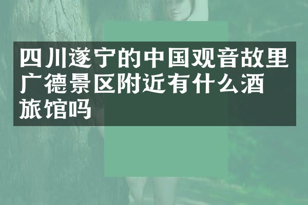 四川遂宁的中国观音故里广德景区附近有什么酒店旅馆吗