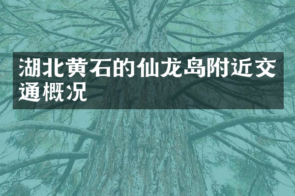 湖北黄石的仙龙岛附近交通概况
