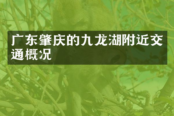 广东肇庆的九龙湖附近交通概况
