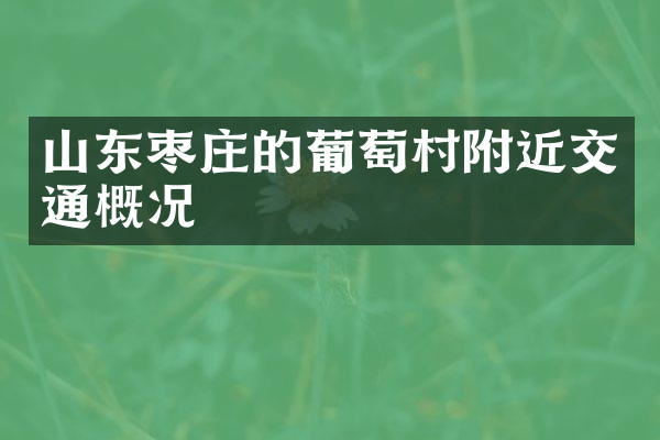 山东枣庄的葡萄村附近交通概况
