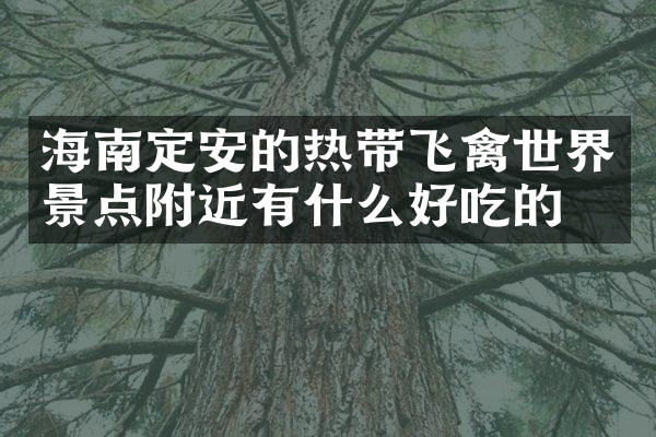 海南定安的热带飞禽世界景点附近有什么好吃的