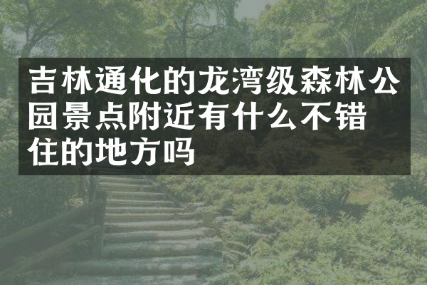 吉林通化的龙湾级森林公园景点附近有什么不错的住的地方吗