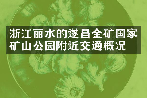 浙江丽水的遂昌金矿国家矿山公园附近交通概况
