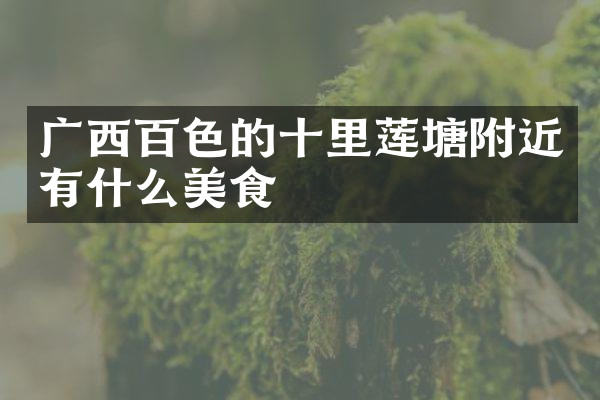 广西百色的十里莲塘附近有什么美食