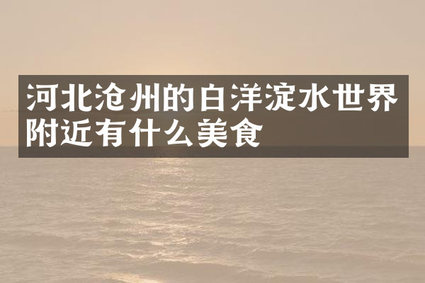 河北沧州的白洋淀水世界附近有什么美食
