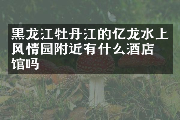 黑龙江牡丹江的亿龙水上风情园附近有什么酒店旅馆吗