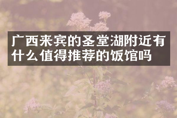 广西来宾的圣堂湖附近有什么值得推荐的饭馆吗