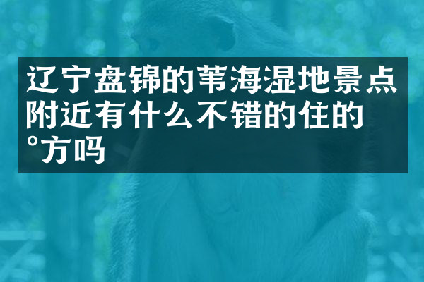 辽宁盘锦的苇海湿地景点附近有什么不错的住的地方吗