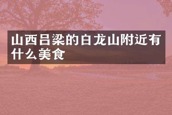 山西吕梁的白龙山附近有什么美食