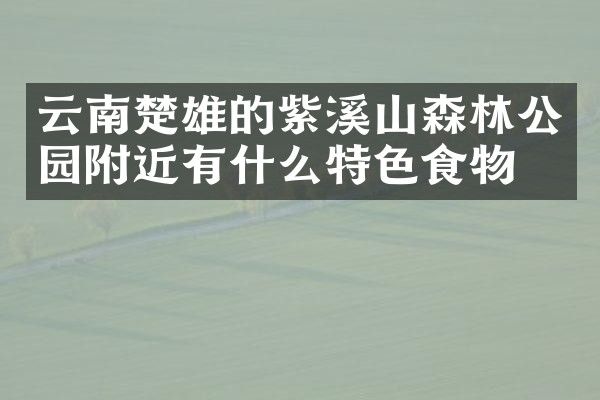 云南楚雄的紫溪山森林公园附近有什么特色食物吗