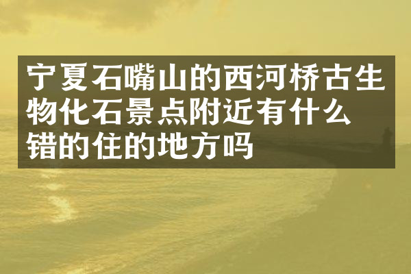 宁夏石嘴山的西河桥古生物化石景点附近有什么不错的住的地方吗