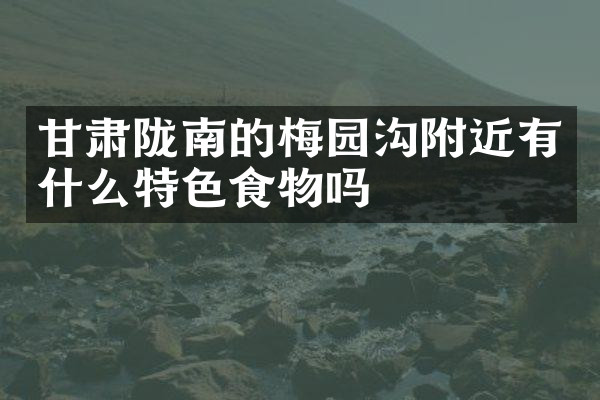 甘肃陇南的梅园沟附近有什么特色食物吗