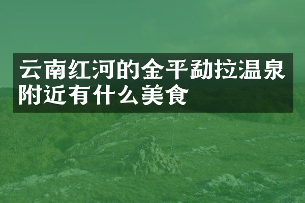 云南红河的金平勐拉温泉附近有什么美食