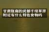 甘肃陇南的武都千坝草原附近有什么特色食物吗