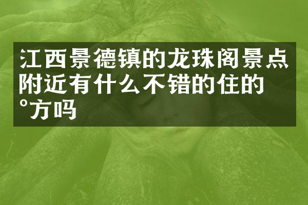 江西景德镇的龙珠阁景点附近有什么不错的住的地方吗