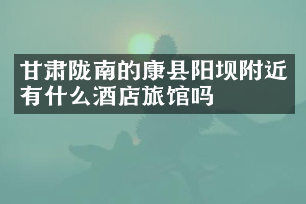 甘肃陇南的康县阳坝附近有什么酒店旅馆吗