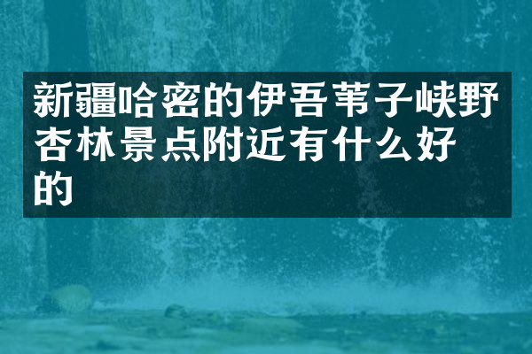 新疆哈密的伊吾苇子峡野杏林景点附近有什么好吃的