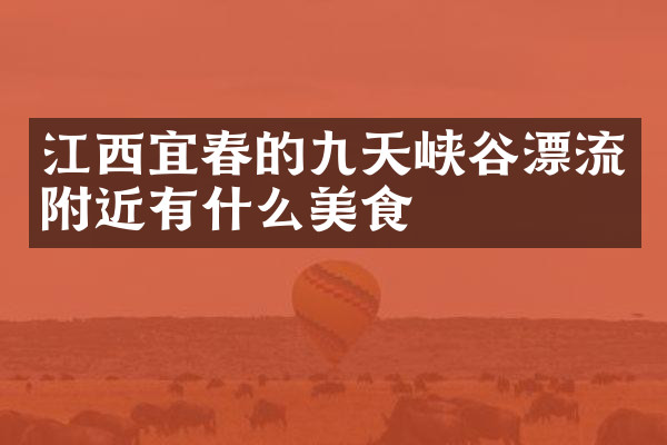 江西宜春的九天峡谷漂流附近有什么美食