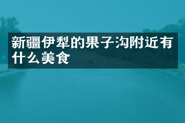新疆伊犁的果子沟附近有什么美食
