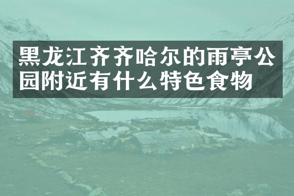 黑龙江齐齐哈尔的雨亭公园附近有什么特色食物吗